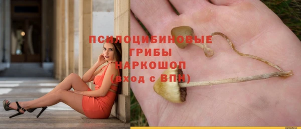 хмурый Армянск
