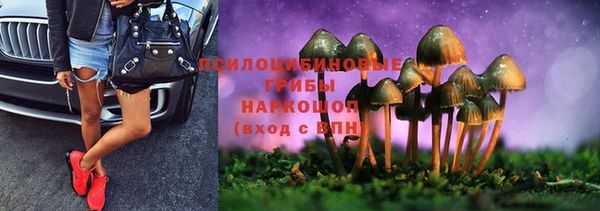 спайс Аркадак