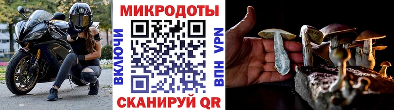 Галлюциногенные грибы Psilocybine cubensis Лесной