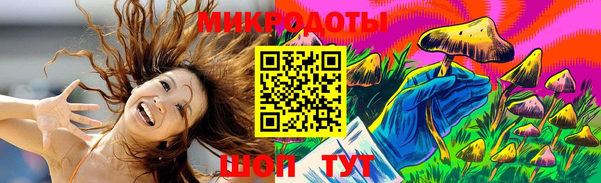 Галлюциногенные грибы Psilocybine cubensis Лесной