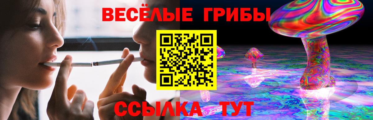 Лесной  АМФ кристаллы  Cocaine  МЕТ  А ПВП СОЛЬ кристаллы  Экстази  Меф МЯУ МЯУ кристаллы  Метадон 