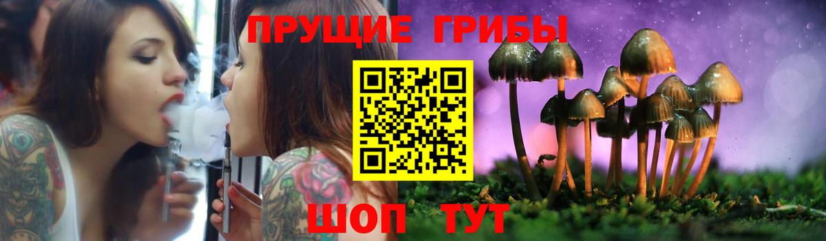 Лесной  Галлюциногенные грибы прущие грибы  Псилоцибиновые грибы мицелий  хочу наркоту  Вход с VPN 